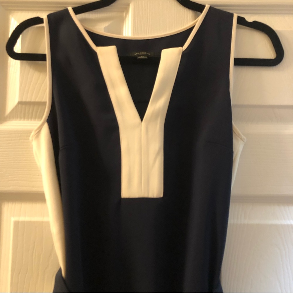 Ann Taylor dress
